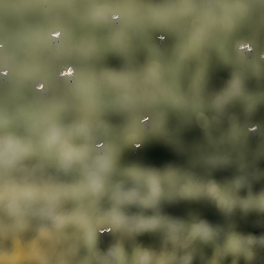 Maria. Photographer in Italy Anna Linnik