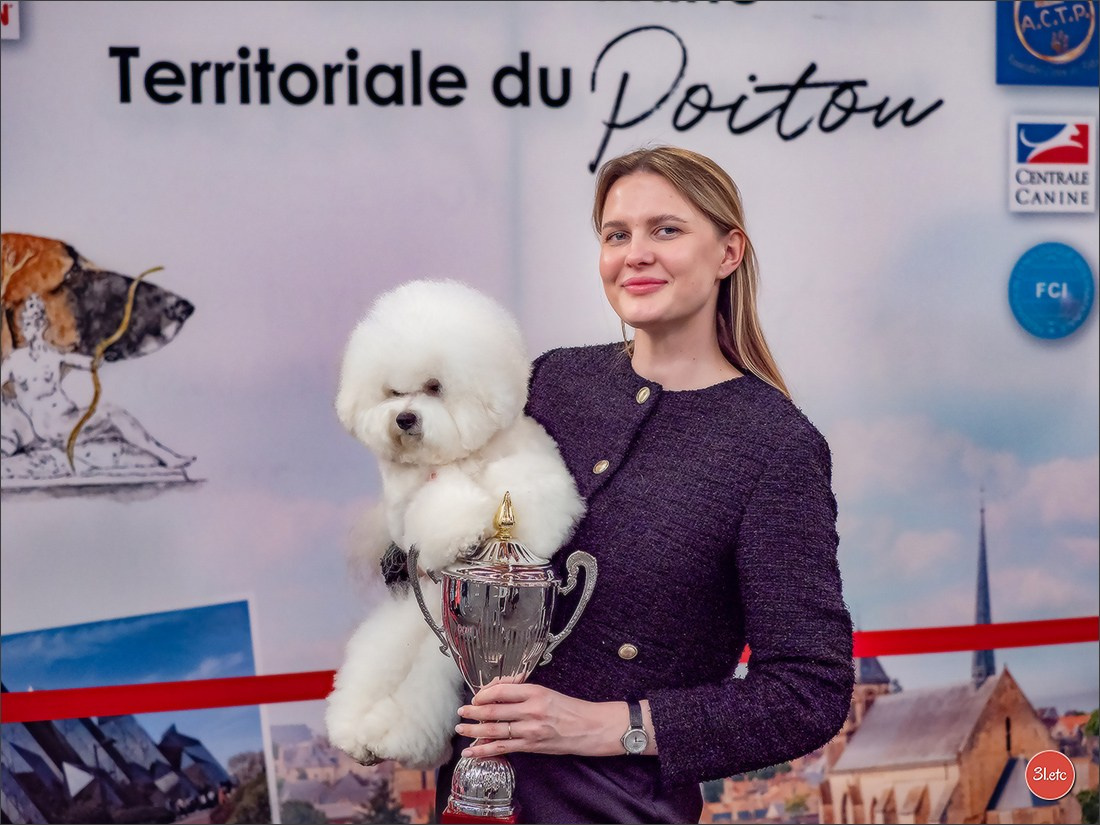 Expo canine 🇫🇷 Poitiers 18-19/10/2025. Photographe à Strasbourg | Portraits, Studio, Enfants, Événements