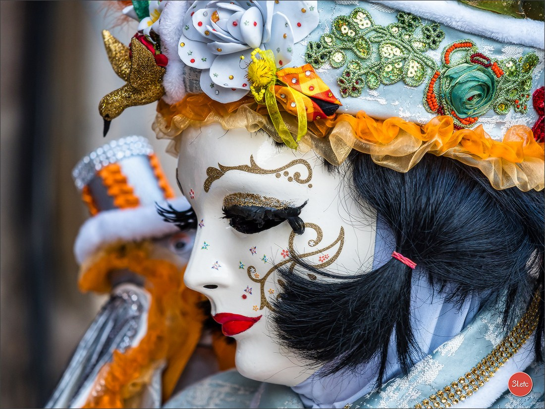 Carnaval venitien de Rosheim 2024. Photographe à Strasbourg | Portraits, Studio, Enfants, Événements