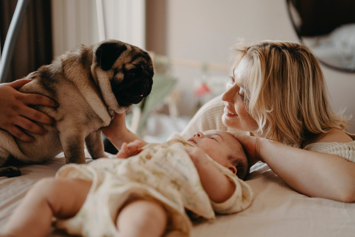 Jelena, Uros i Vasilije / porodicno fotografisanje kod kuce. Deciji i porodicni fotograf u Beogradu Oksana Skendzic