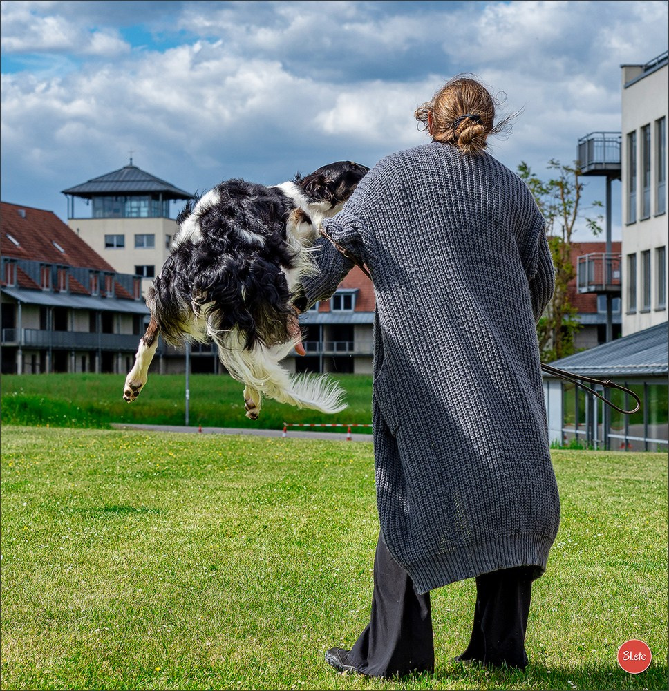 Dog Show Rieden 🇩🇪 16-18/05/2025. Photographe à Strasbourg | Portraits, Studio, Enfants, Événements