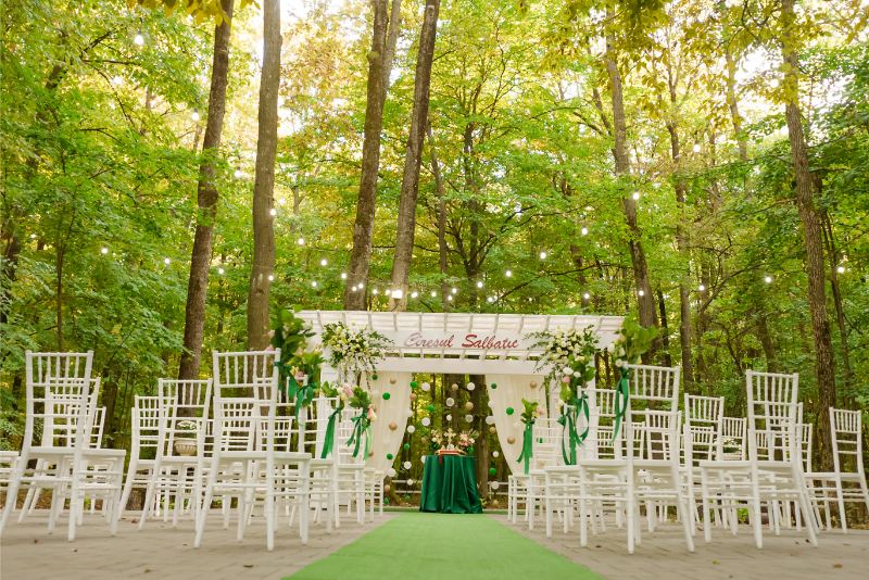 Cireșul Sălbatic. Stefan Teodorescu — Fotograf de Nunta