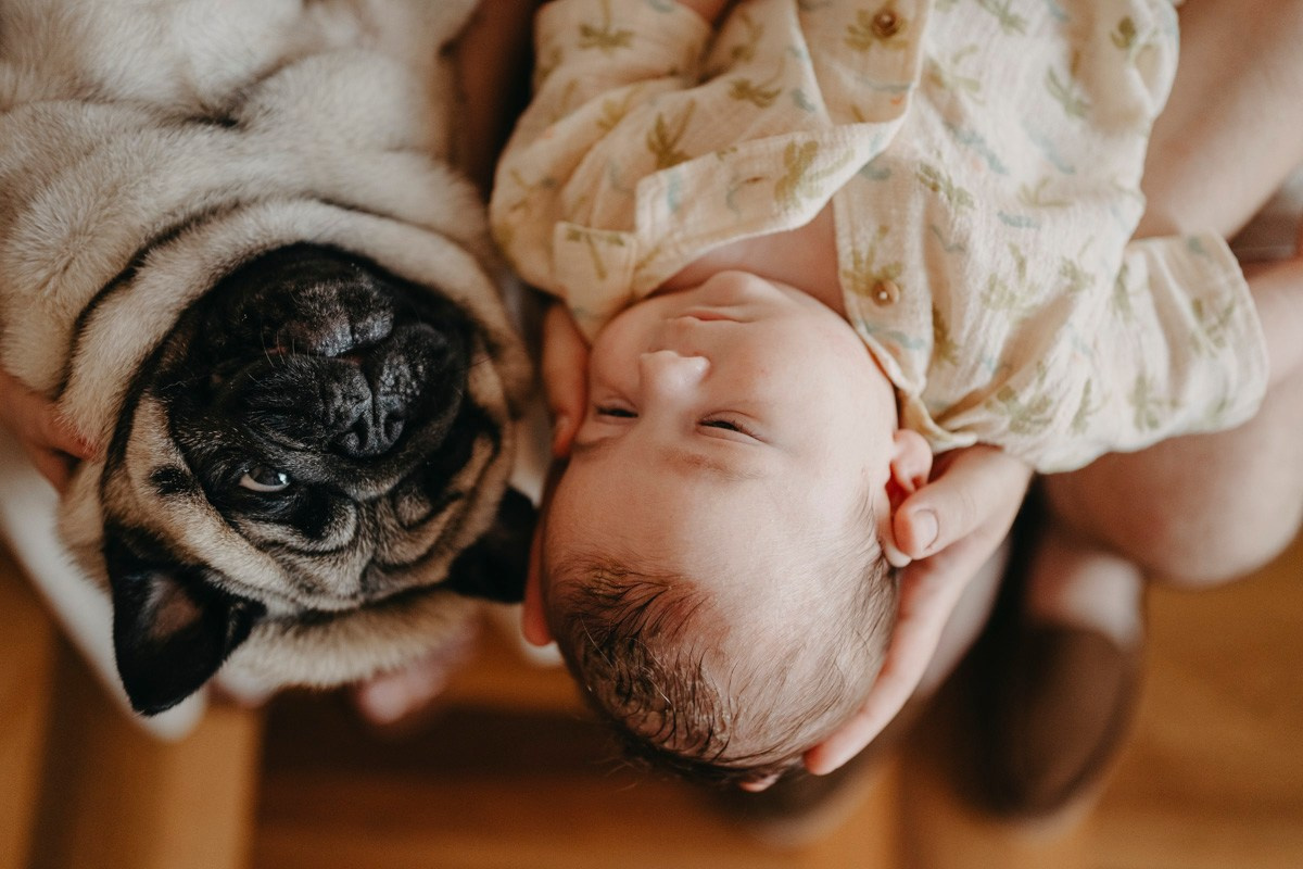 Jelena, Uros i Vasilije / porodicno fotografisanje kod kuce. Deciji i porodicni fotograf u Beogradu Oksana Skendzic