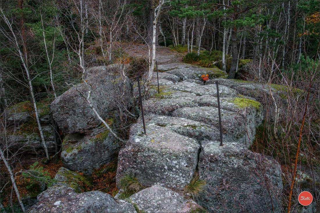 Rocher du Pfaffenlapp. Photographe à Strasbourg | Portraits, Studio, Enfants, Événements
