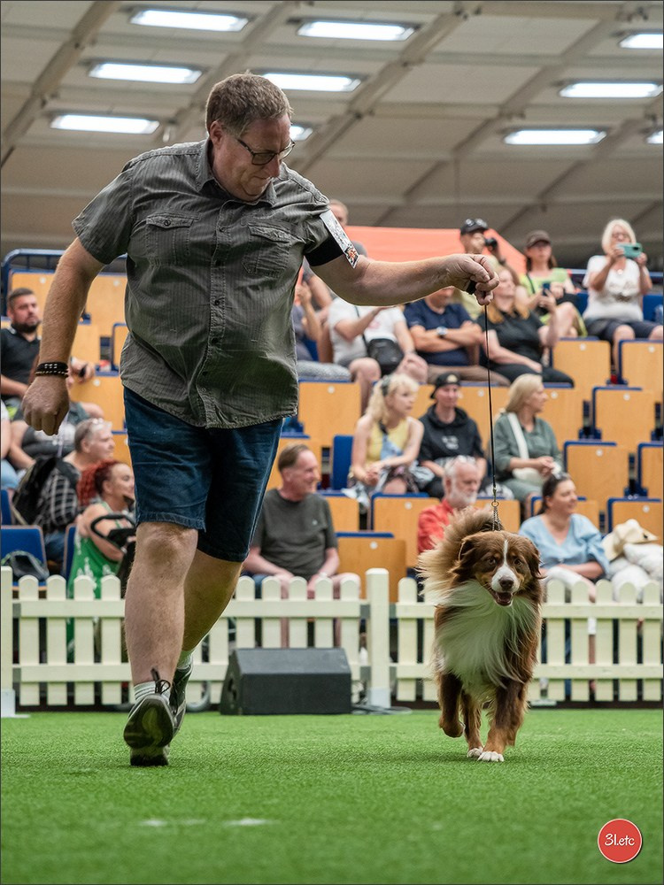 Dog Show Ludwigshafen  🇩🇪  16-17/08/2025. Photographe à Strasbourg | Portraits, Studio, Enfants, Événements