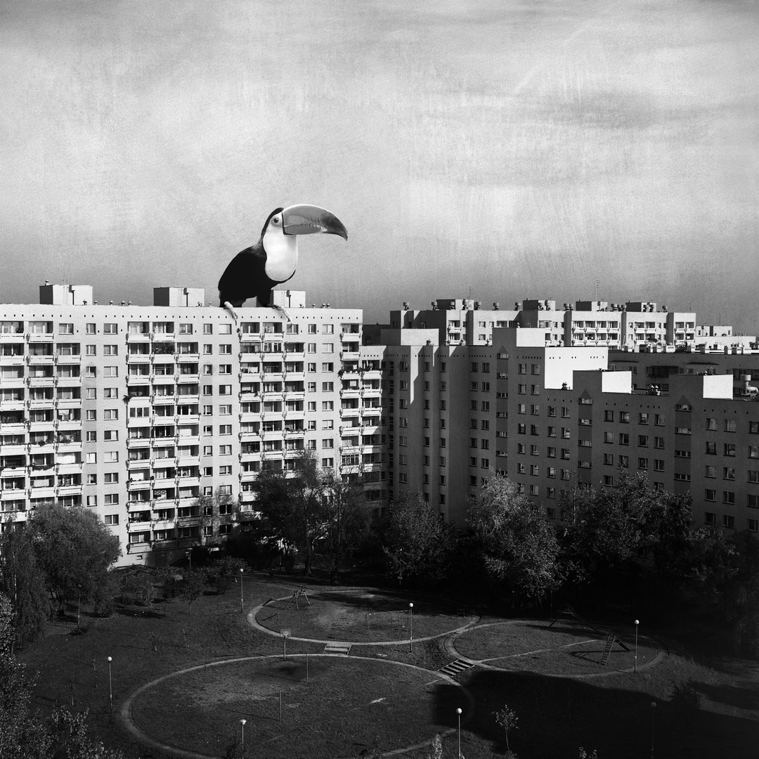 Postapokalipsa. Halina Marduła