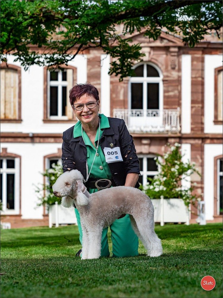 Expo canine Strasbourg  🇫🇷  23-24/08/2025. Photographe à Strasbourg | Portraits, Studio, Enfants, Événements