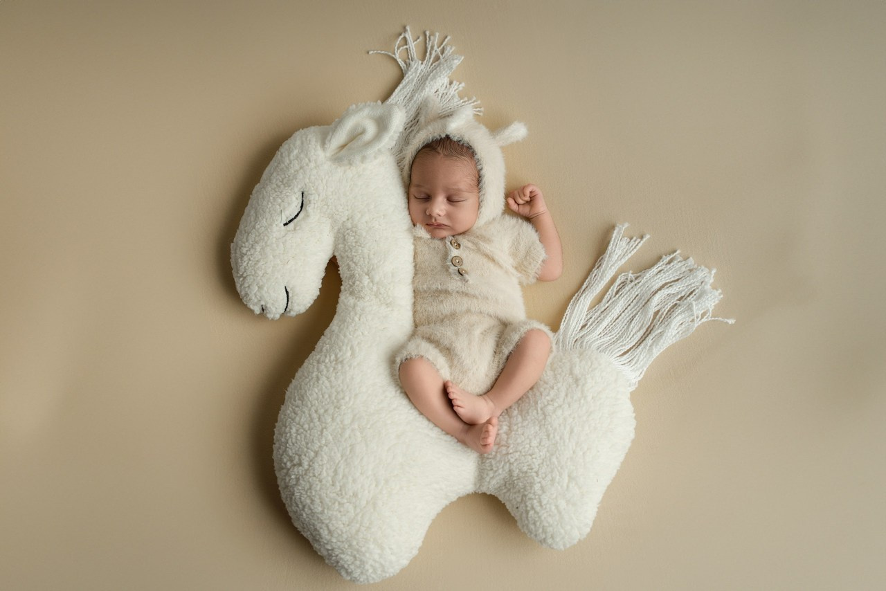 Feedback. Photographer in Paris