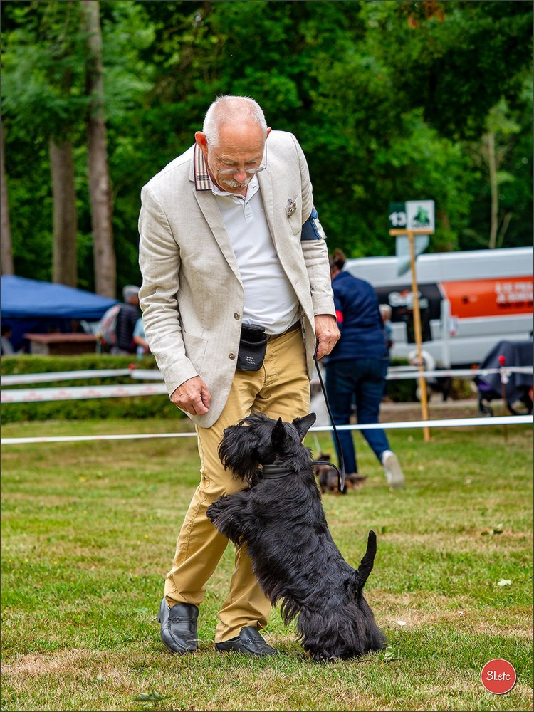 Expo canine Chartres  🇫🇷  15/06/2025. Photographe à Strasbourg | Portraits, Studio, Enfants, Événements