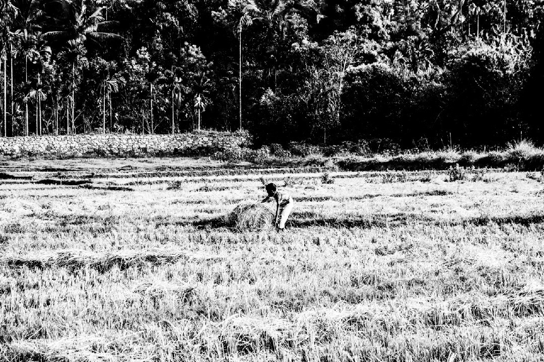 Documentary. Murat Bostan Fotografie für Events, kleine Hochzeiten und Portraitfotografie
