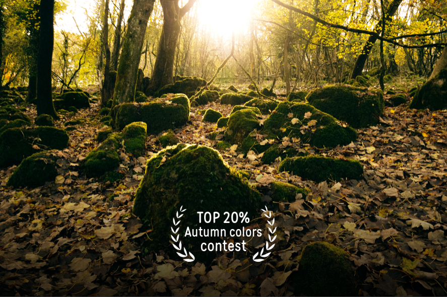 Creative Family, Brand, Boudoir and Wedding Photographer in Solihull & Birmingham Irina Zoteeva