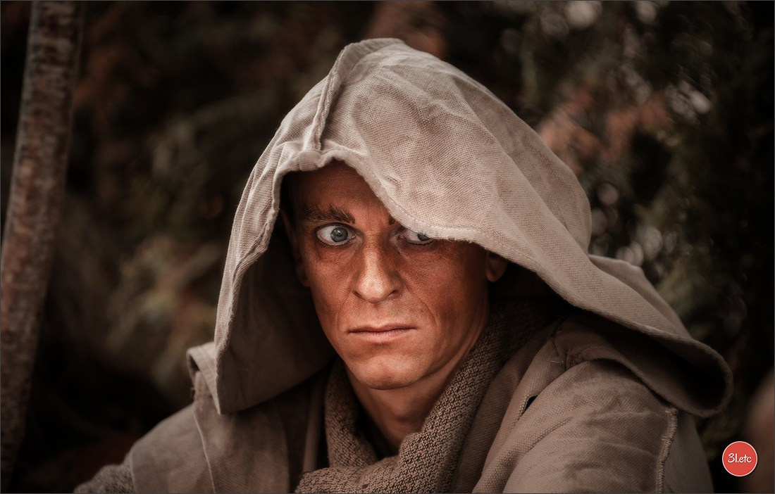 Concerts . Carnavals . Festivals. Photographe à Strasbourg | Portraits, Studio, Enfants, Événements