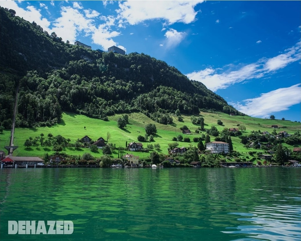 Online Publications. Jelena Kintero ART