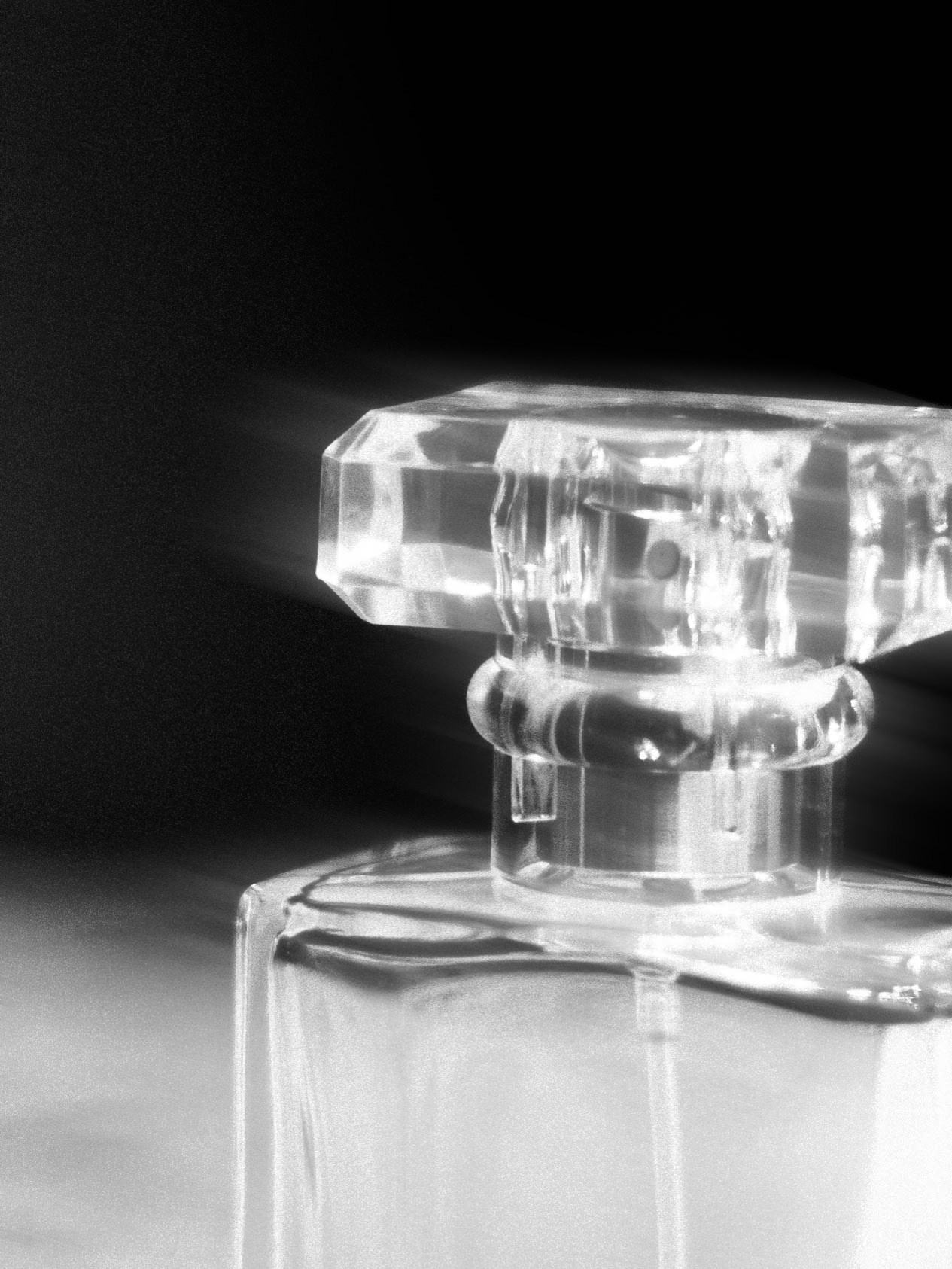 Event Photography in Munich — Portfolio of Private & Corporate Events. Portrait Lifestyle Photographer in Munich — Polina Cherkasova