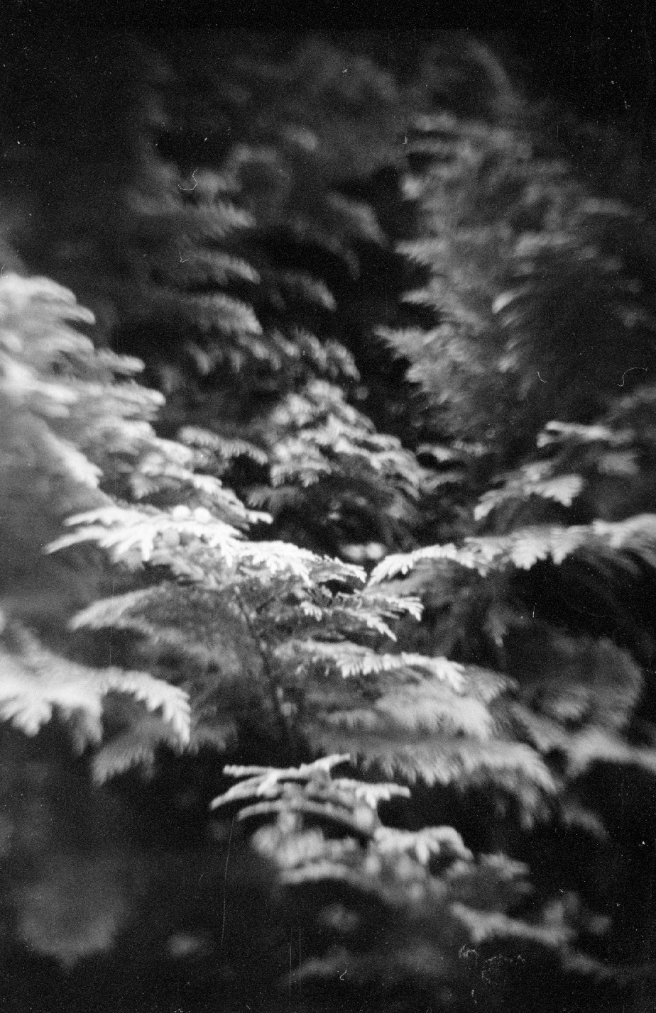 Blurry blues. Anastasia Musinova