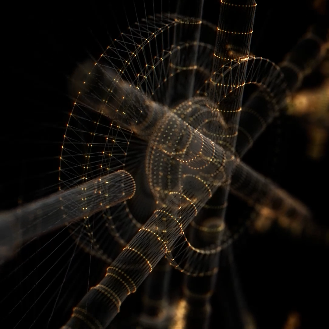 [Director] — Explainer FinTech Video — VIP Payments. Tim Katerinko — Visual Storytelling for Brands, Culture & Events