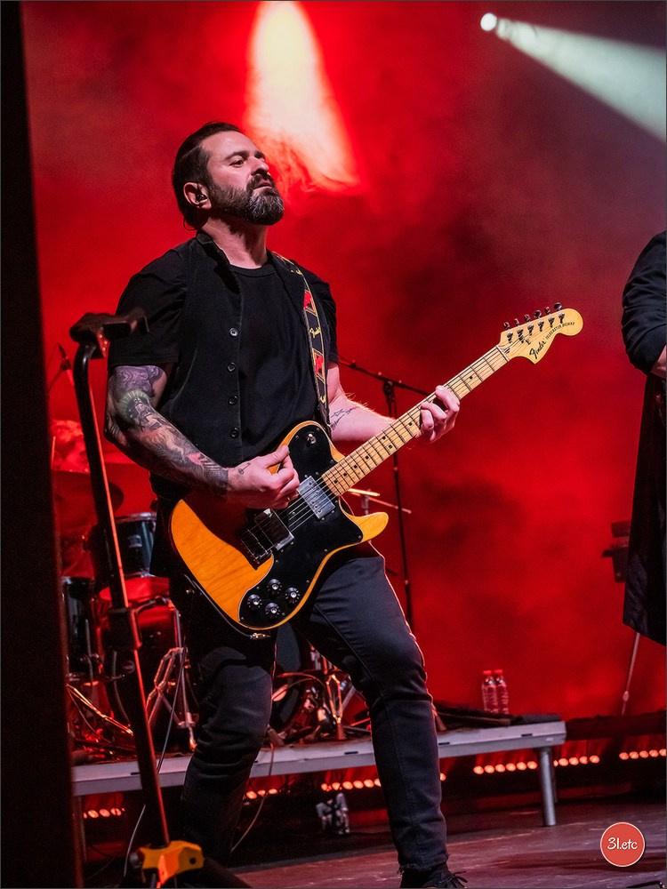 Concerts . Carnavals . Festivals. Photographe à Strasbourg | Portraits, Studio, Enfants, Événements