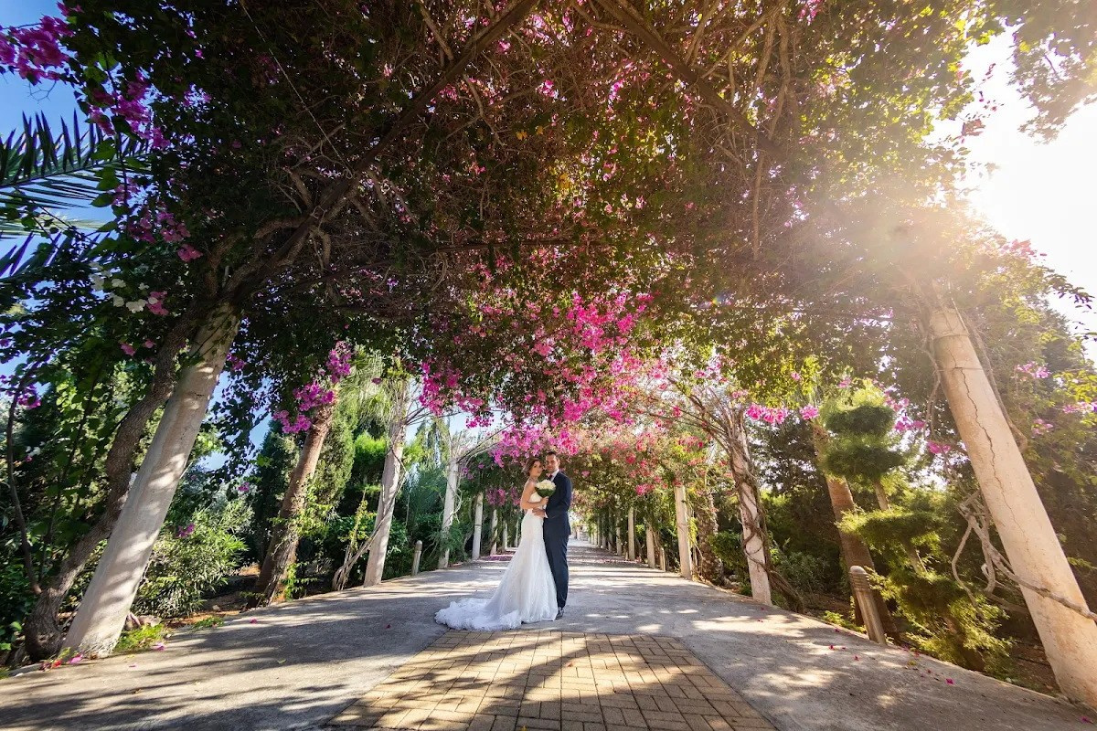 Where Every Moment Becomes Timeless