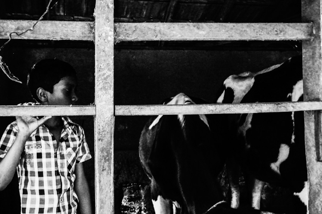 Documentary. Murat Bostan Fotografie für Events, kleine Hochzeiten und Portraitfotografie