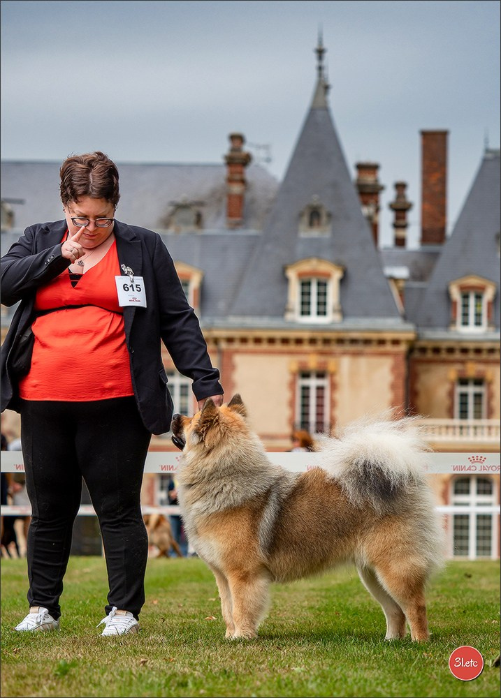 Expo canine Chartres  🇫🇷  15/06/2025. Photographe à Strasbourg | Portraits, Studio, Enfants, Événements