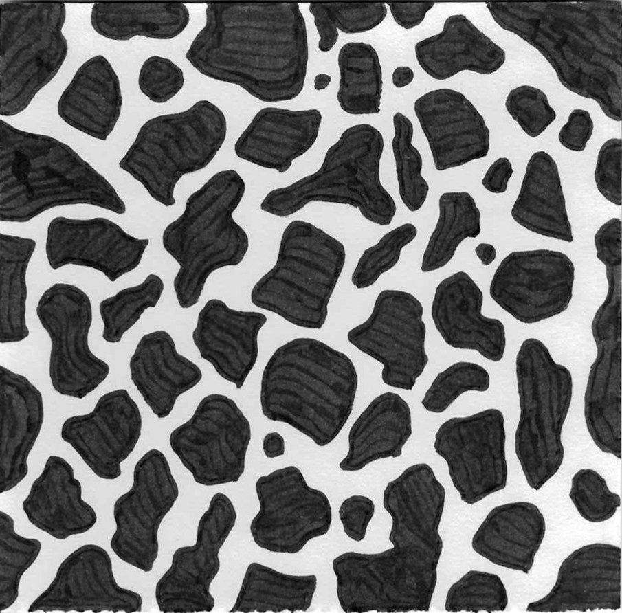 Paintings. Portrait & Brand Photographer in Bradford, West Yorkshire