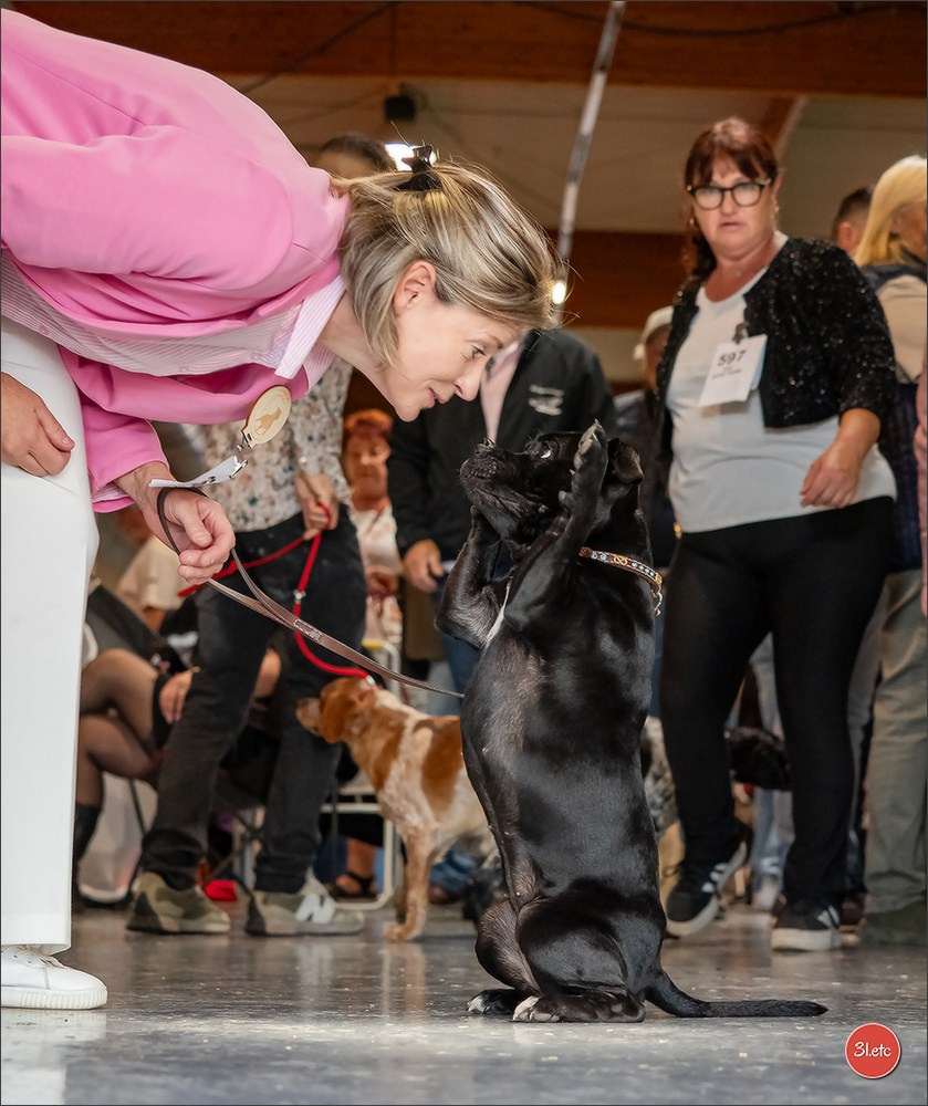 Expo canine 🇫🇷 Beziers 11-12/10/2025. Photographe à Strasbourg | Portraits, Studio, Enfants, Événements
