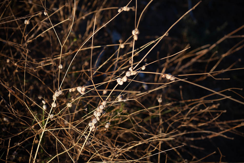 Marina with children. Nina Janeckova Fotografin und Videografin am Bodensee