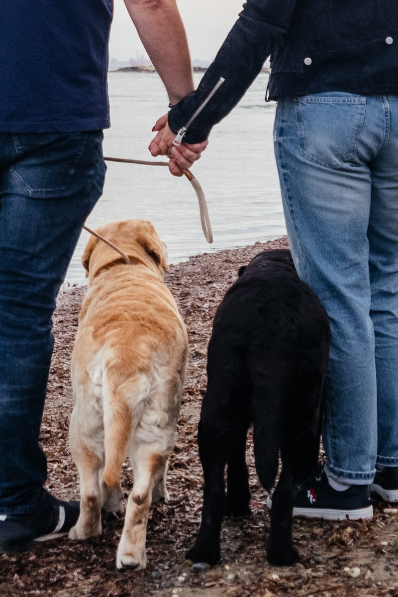 фотограф Ларнака