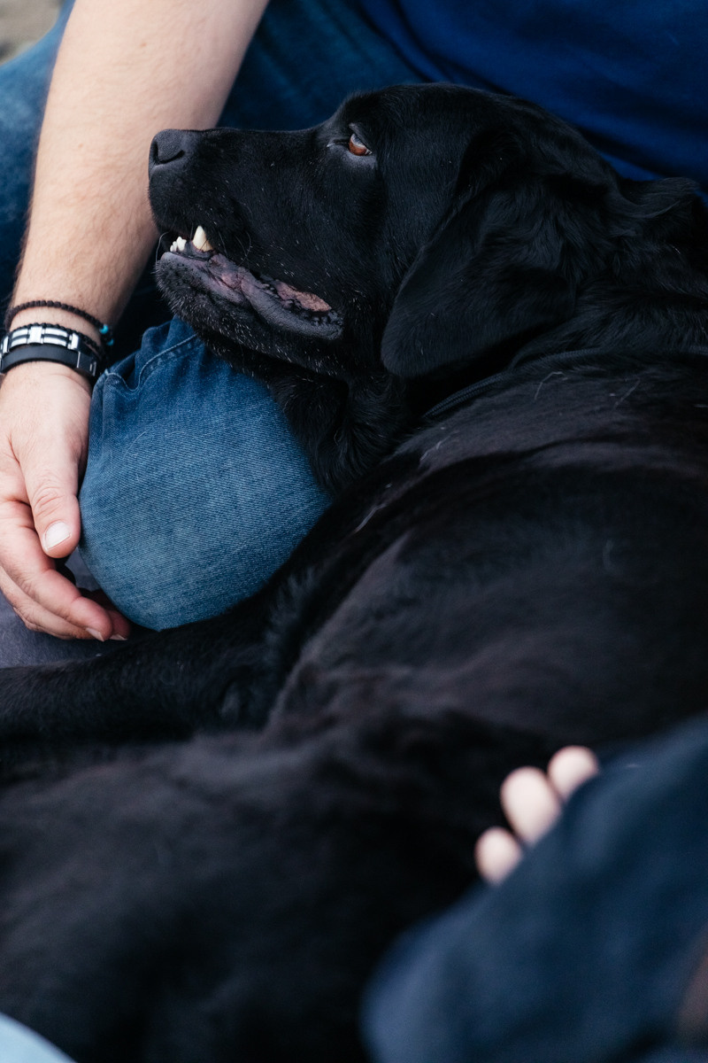 фотограф Ларнака