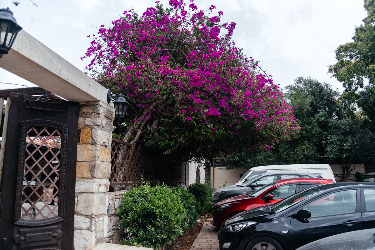 Хрещення G - Прекрасне святкування в Європі та Нідерландах. Весільний фотограф у Нідерландах та Європі — Тіна Ялóва