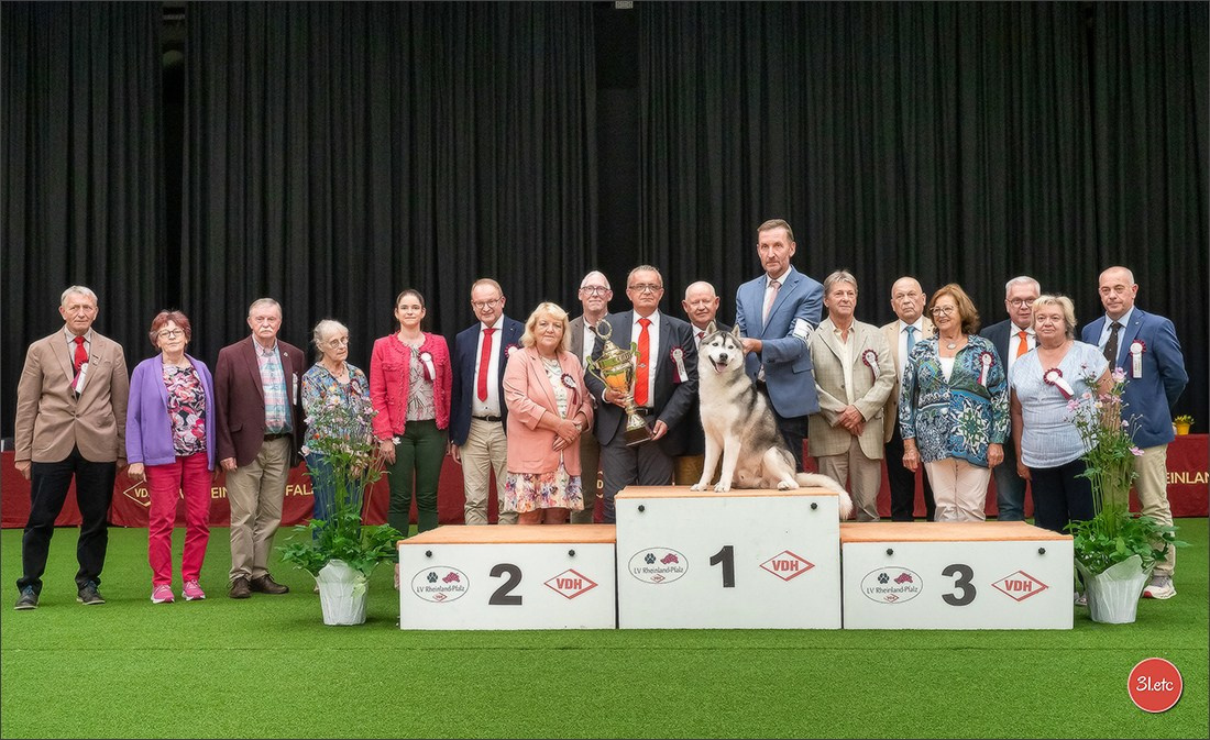 Dog Show Ludwigshafen  🇩🇪  16-17/08/2025. Photographe à Strasbourg | Portraits, Studio, Enfants, Événements