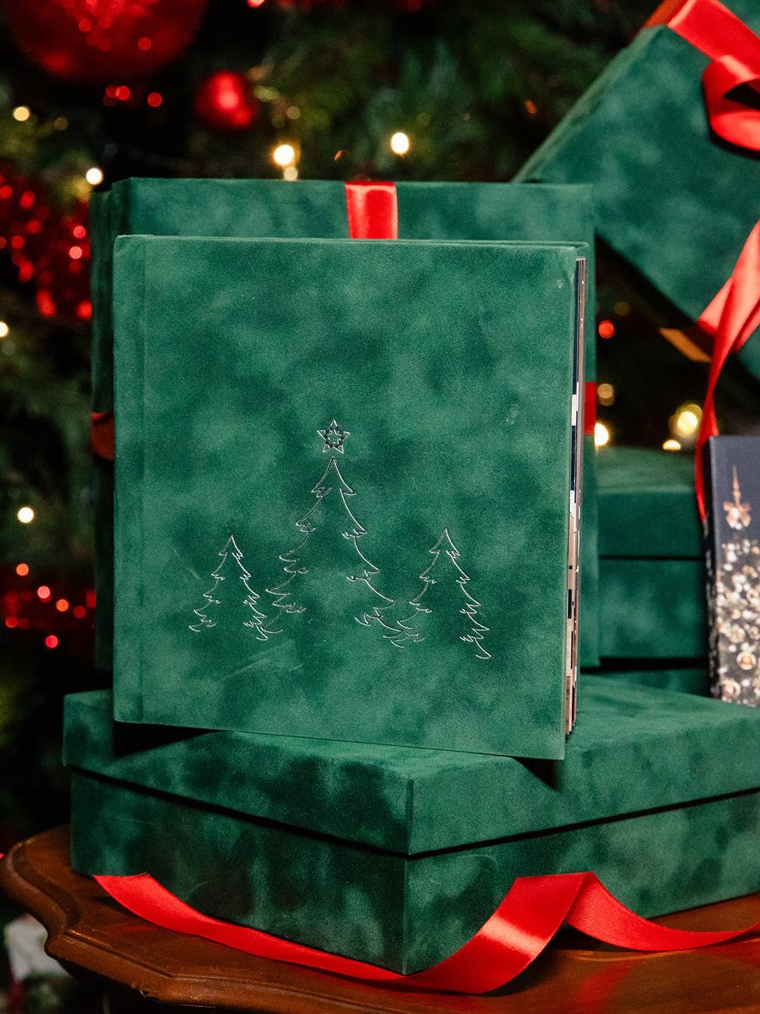 Them Artsy Studios — Ședințe Foto de Crăciun by Fulop Robert & Oana Petrea