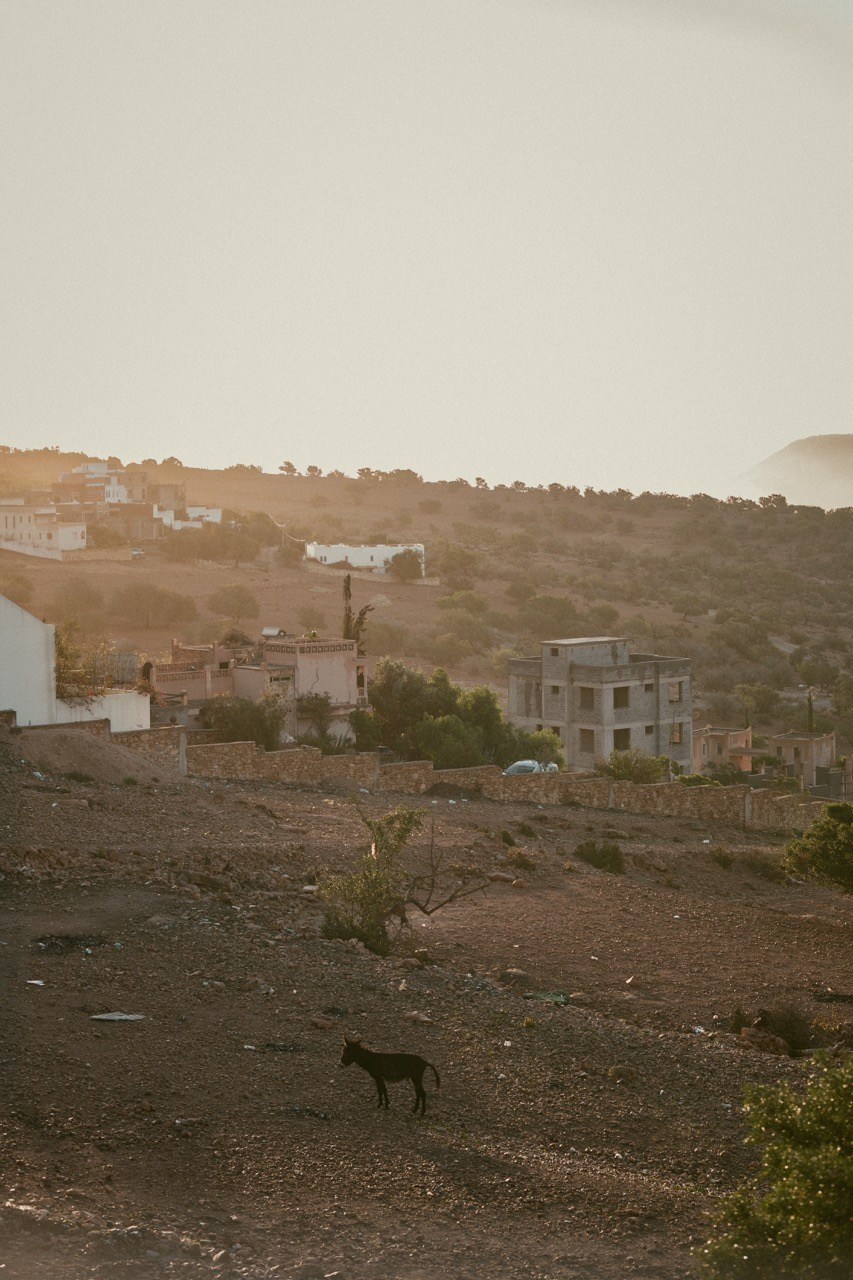 Travel and lifestyle photography. Dana Lišková — Empathetic Photographer | Introspective Artist |Neurodivergent Coach | Founder of Artepy.cz