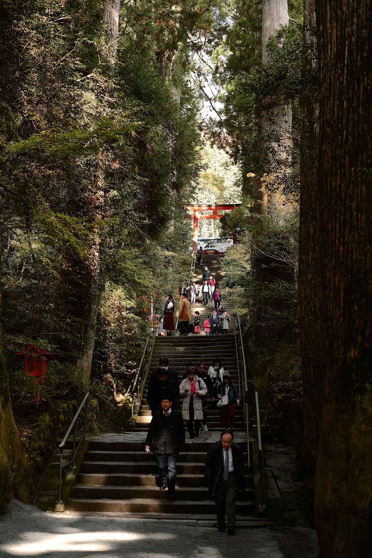 Travel Photography in Hakone & Nikko