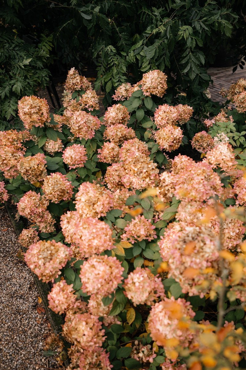 R & J Netherlands. Весільний фотограф у Нідерландах та Європі — Тіна Ялóва