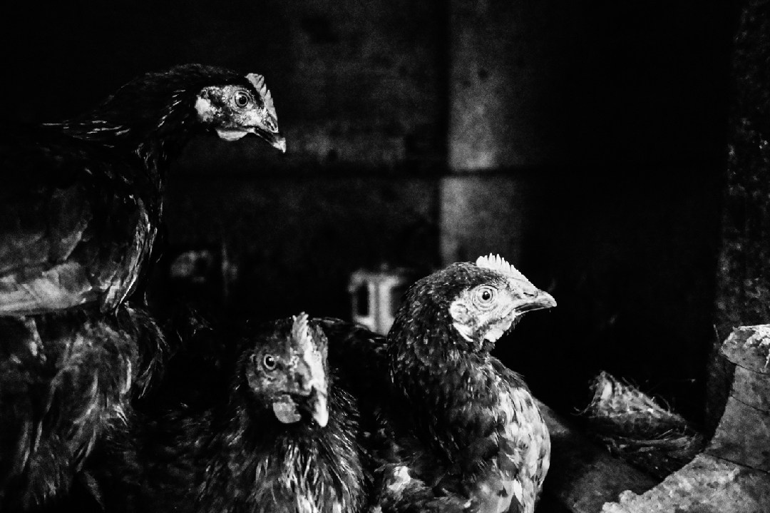 Documentary. Murat Bostan Fotografie für Events, kleine Hochzeiten und Portraitfotografie