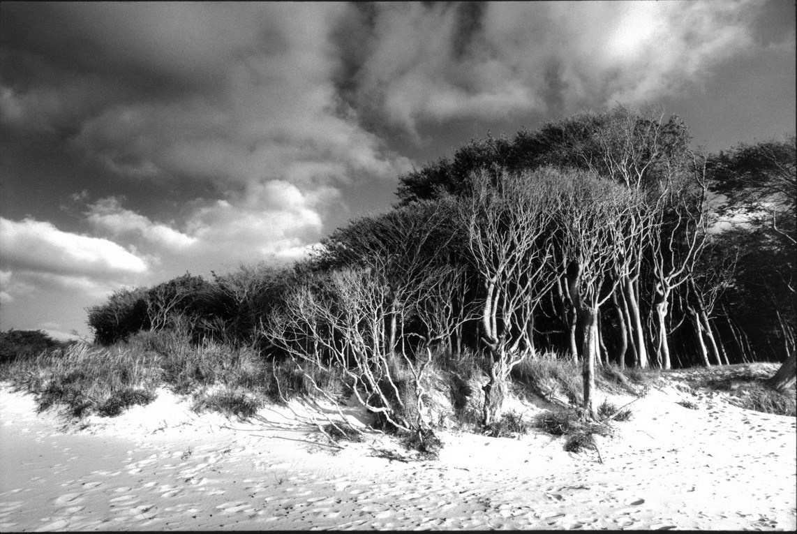 Sacra Natura. Katerina Kiper Photography