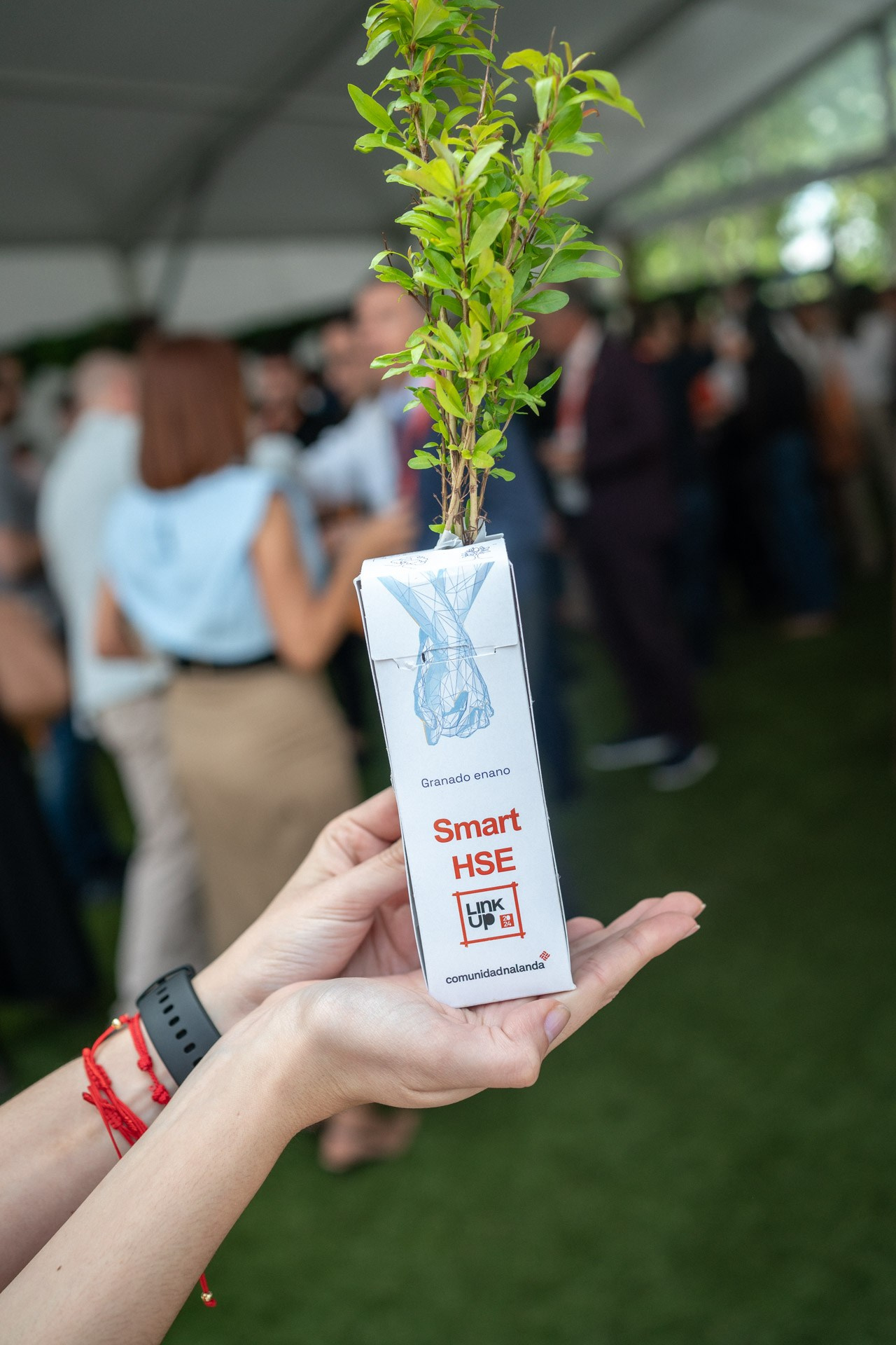 Nalanda. Principe Pio. Fotógrafa en Madrid | Retratos femeninos, familia y sesiones con caballos – Anna Maruleva
