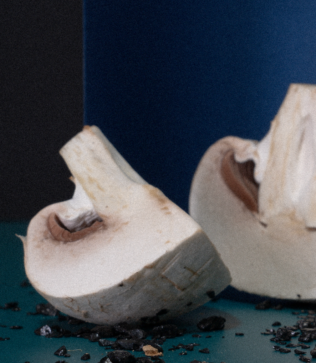 Factory (2023). Антонова | фото