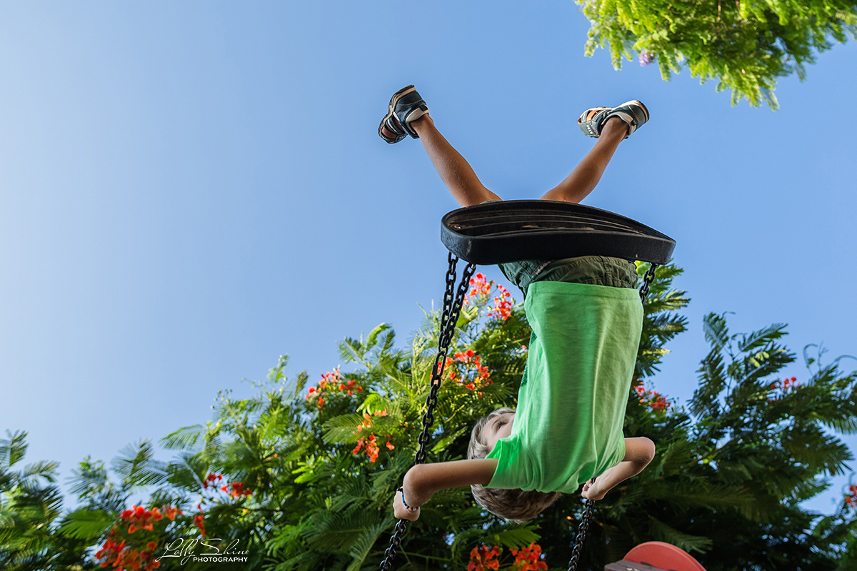 FAMILY STORIES. Lolly Shine. Contemporary digital artist