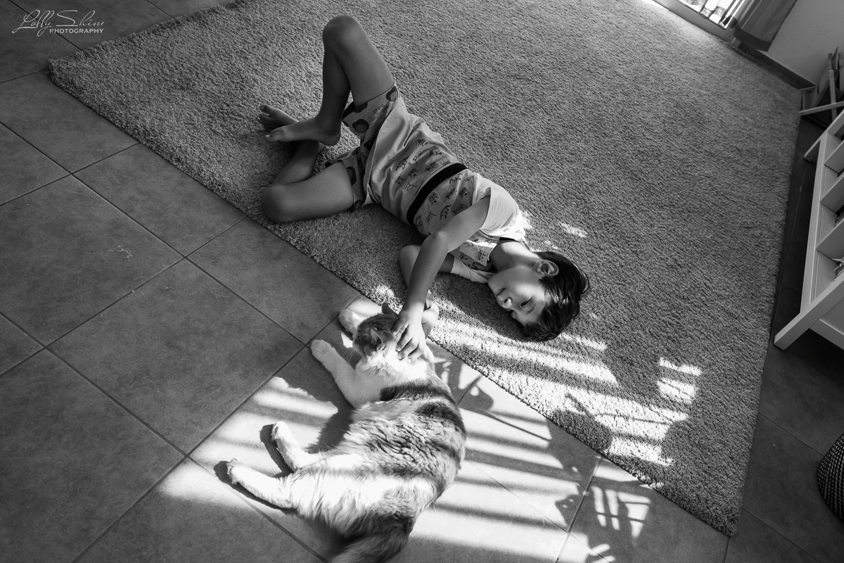 FAMILY STORIES. Lolly Shine. Contemporary digital artist