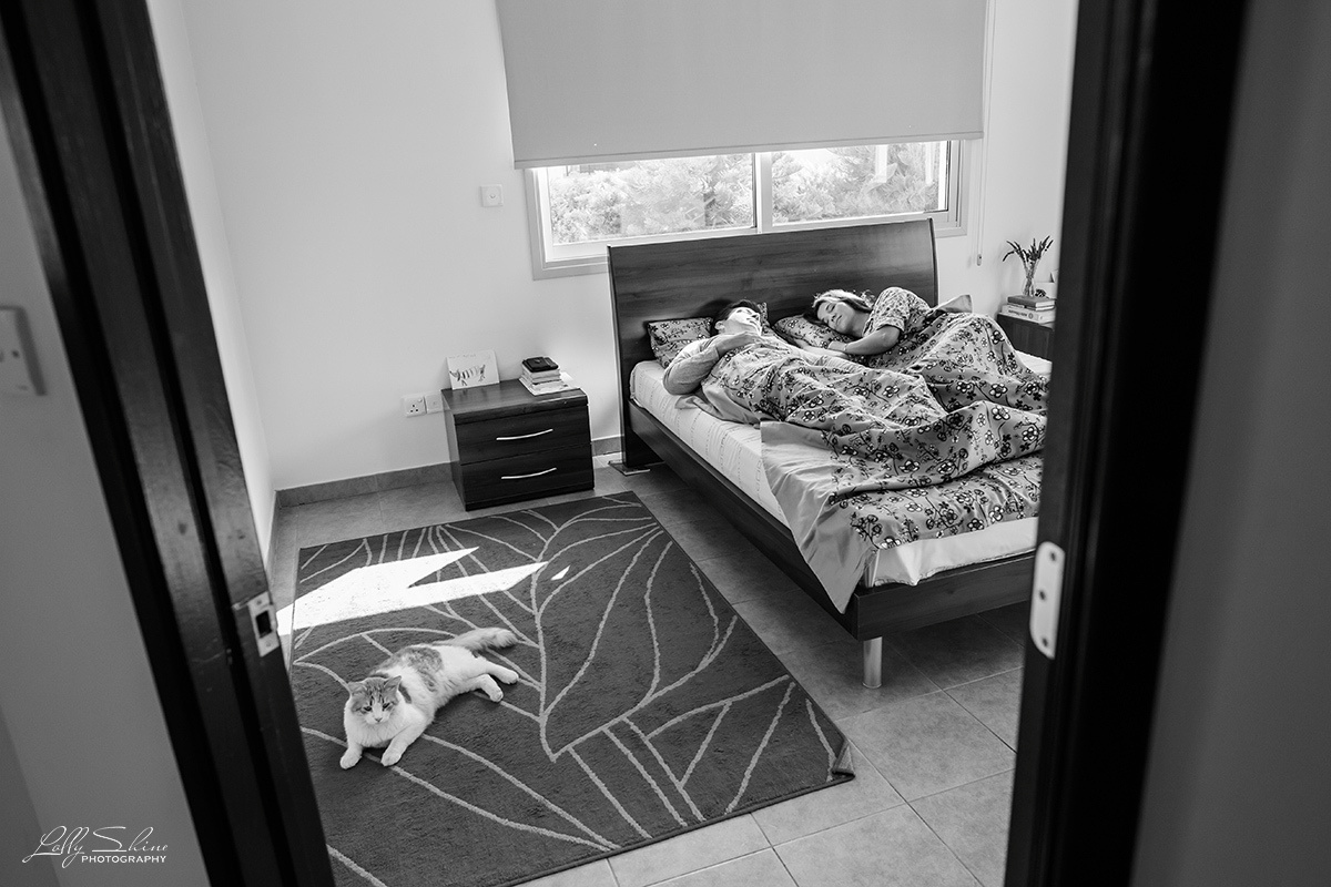 FAMILY STORIES. Lolly Shine. Contemporary digital artist