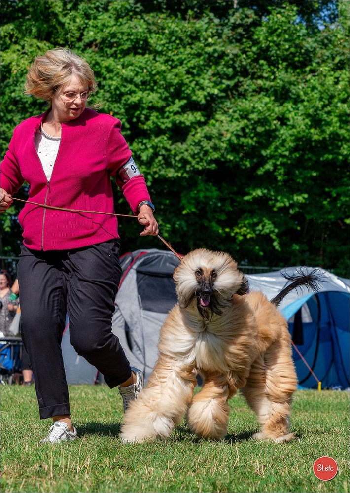 Dog Show Hallbergmoos  🇩🇪  11-13/07/2025. Photographe à Strasbourg | Portraits, Studio, Enfants, Événements