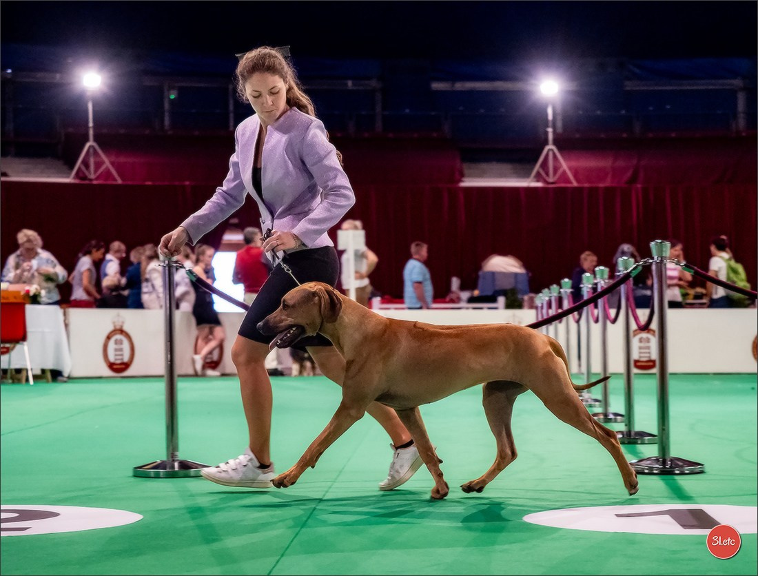 Expo canine 🇲🇨  Monaco 10-11/05/2025. Photographe à Strasbourg | Portraits, Studio, Enfants, Événements