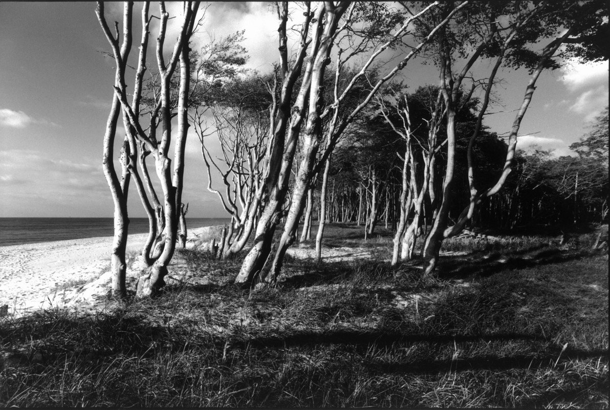 Sacra Natura. Katerina Kiper Photography