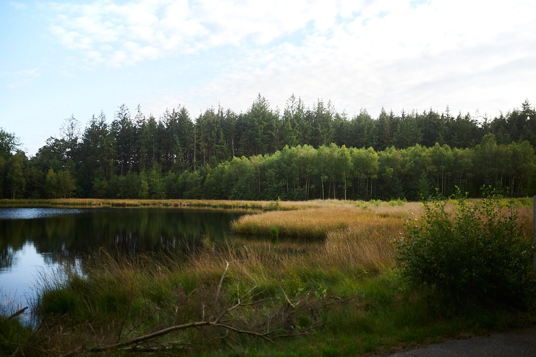 Nature. Personal, fashion, business Photographer in Netherlands