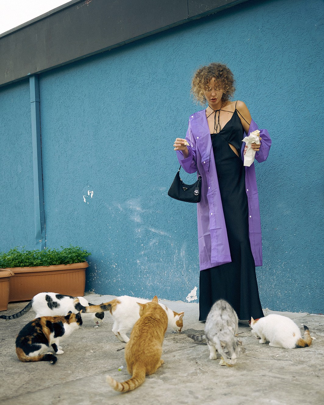 PureCreativeProject 2022. Minimalist brand photographer & videographer | Raw sincerity. Pure Form