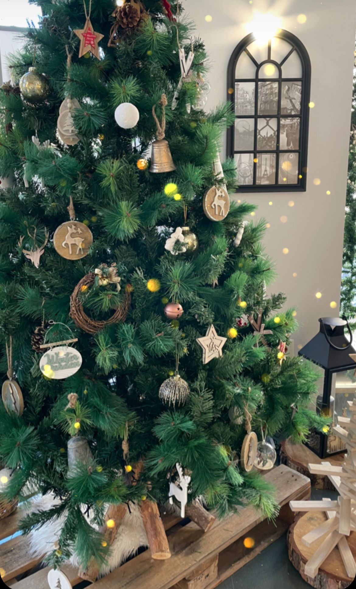 Sesiones de Navidad en Jaca. Fotografía de Eventos, Embarazo y Familiar en Pirineos