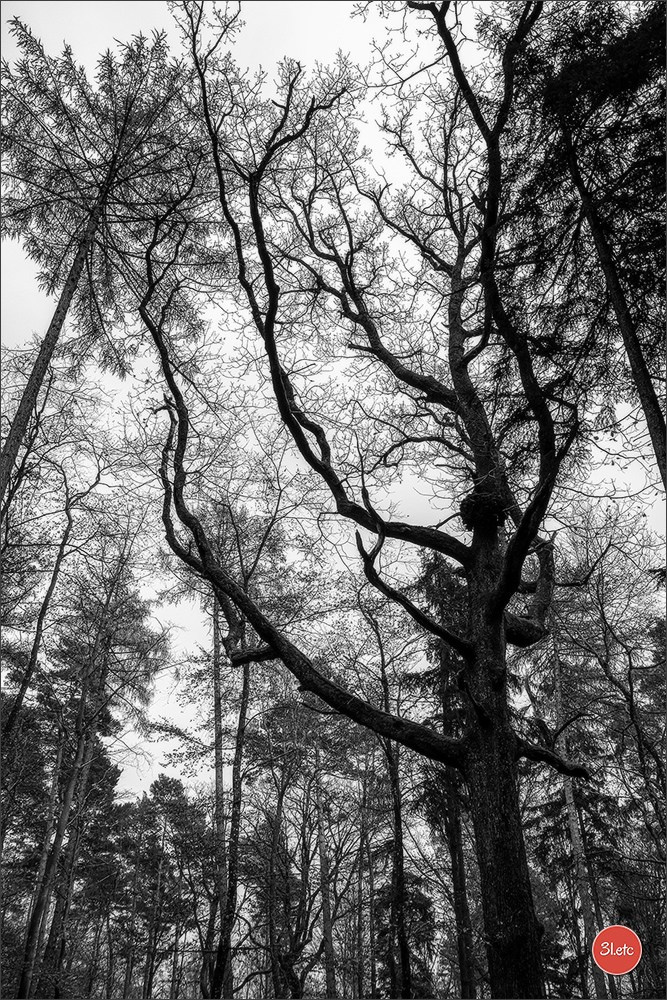 Rocher du Pfaffenlapp. Photographe à Strasbourg | Portraits, Studio, Enfants, Événements