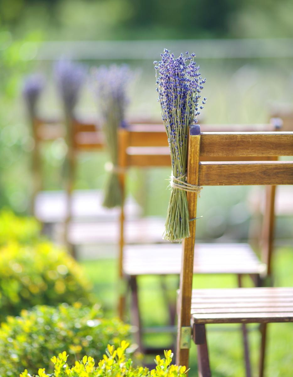 France. Provance. Fotógrafo de bodas. Fotografía de retrato. Fotógrafo Alicante, Madrid